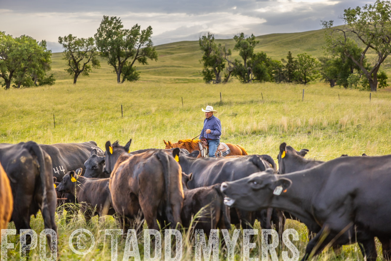 TMyers_PP_FinneyRanch_Nebraska_June2024-519854