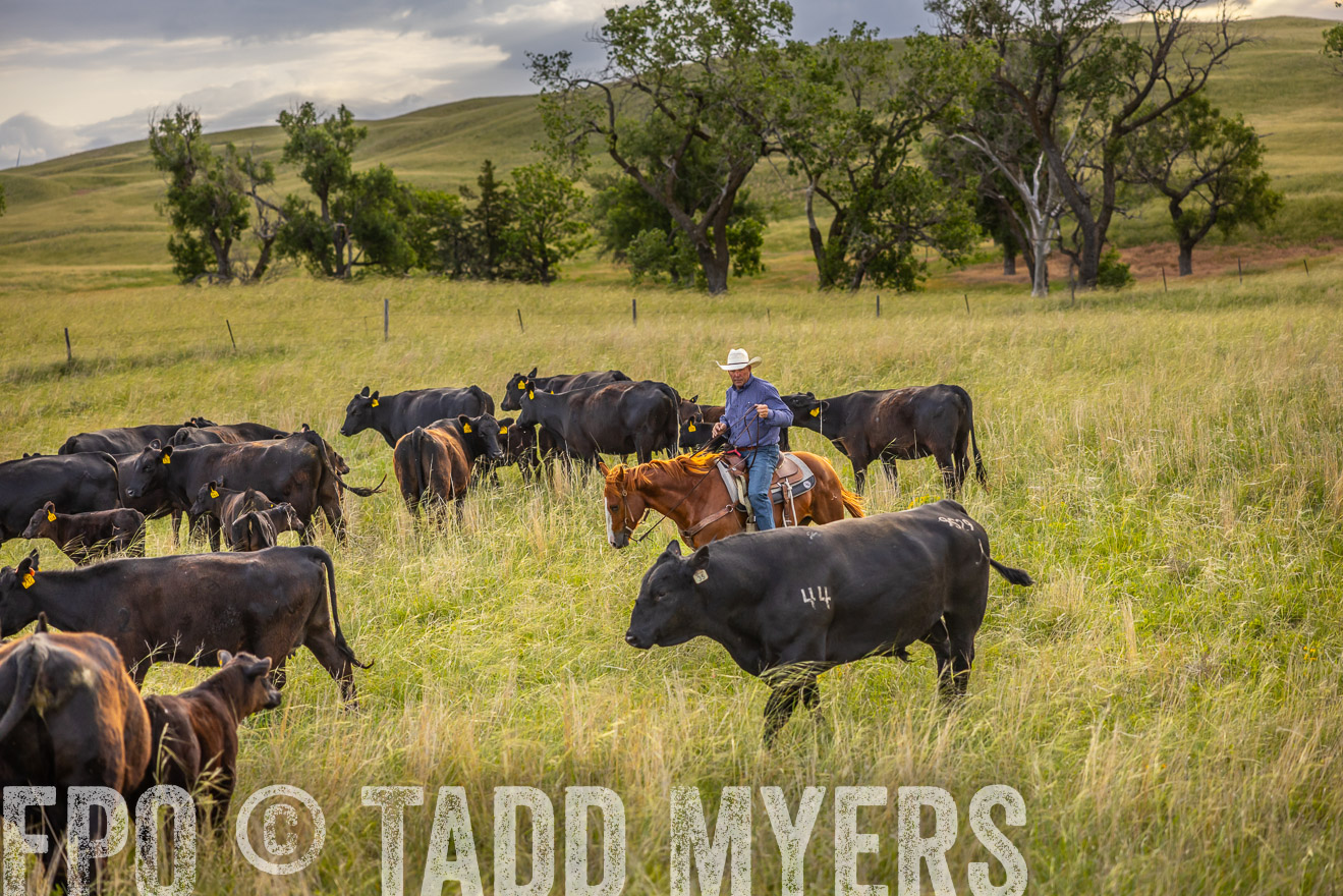 TMyers_PP_FinneyRanch_Nebraska_June2024-519868