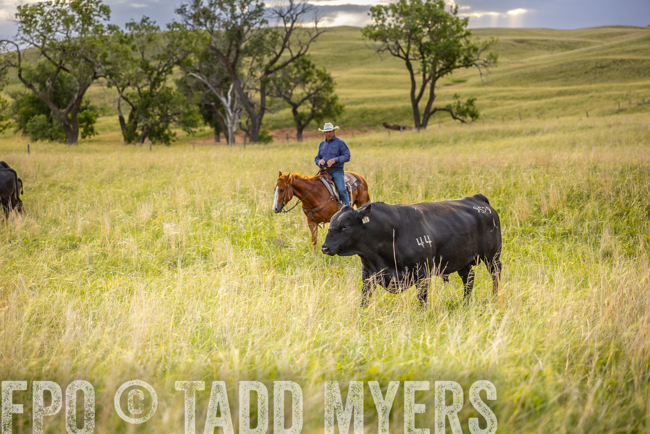 TMyers_PP_FinneyRanch_Nebraska_June2024-519876