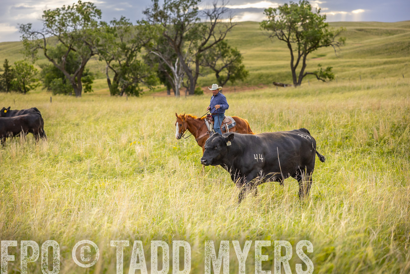 TMyers_PP_FinneyRanch_Nebraska_June2024-519878