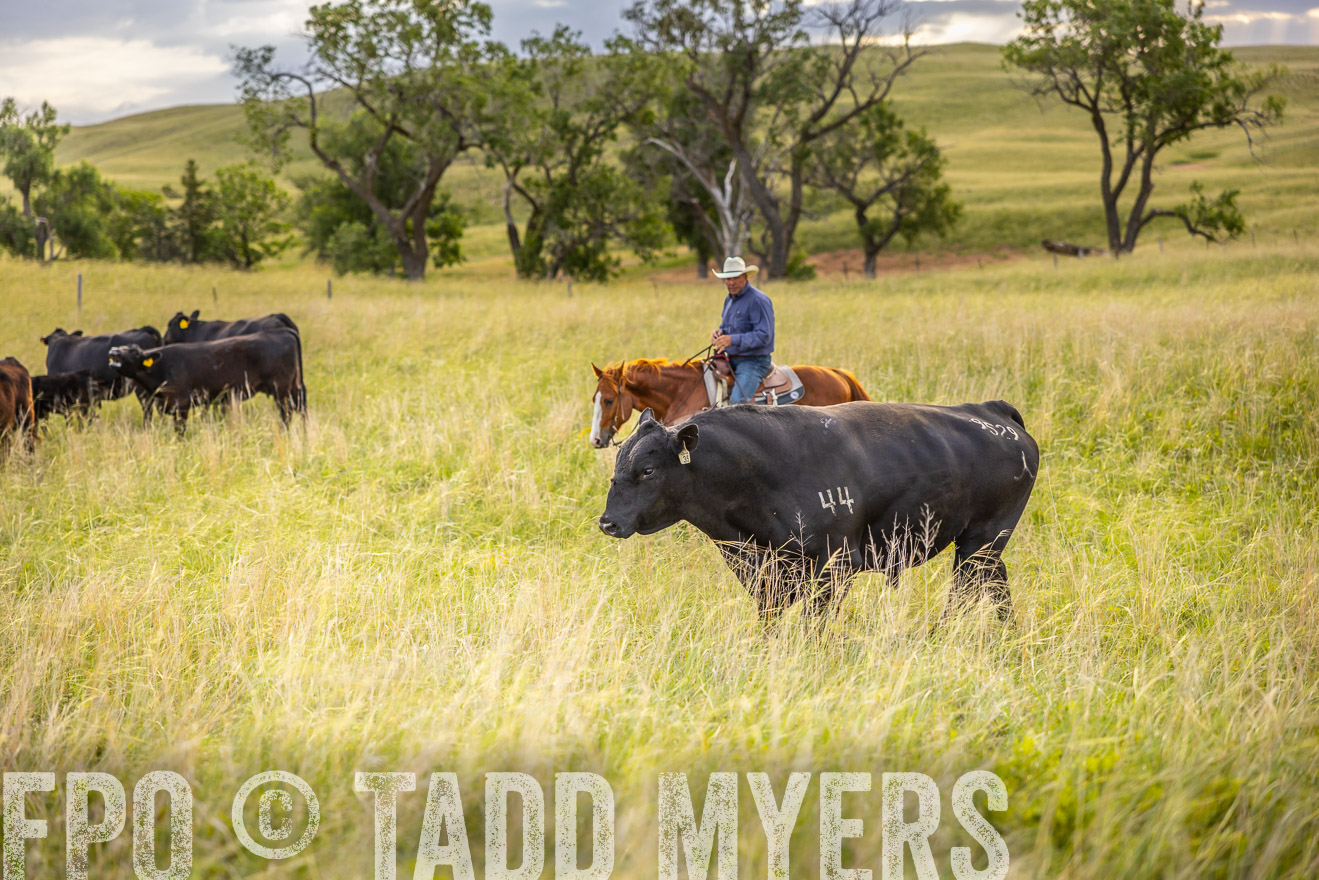 TMyers_PP_FinneyRanch_Nebraska_June2024-519882
