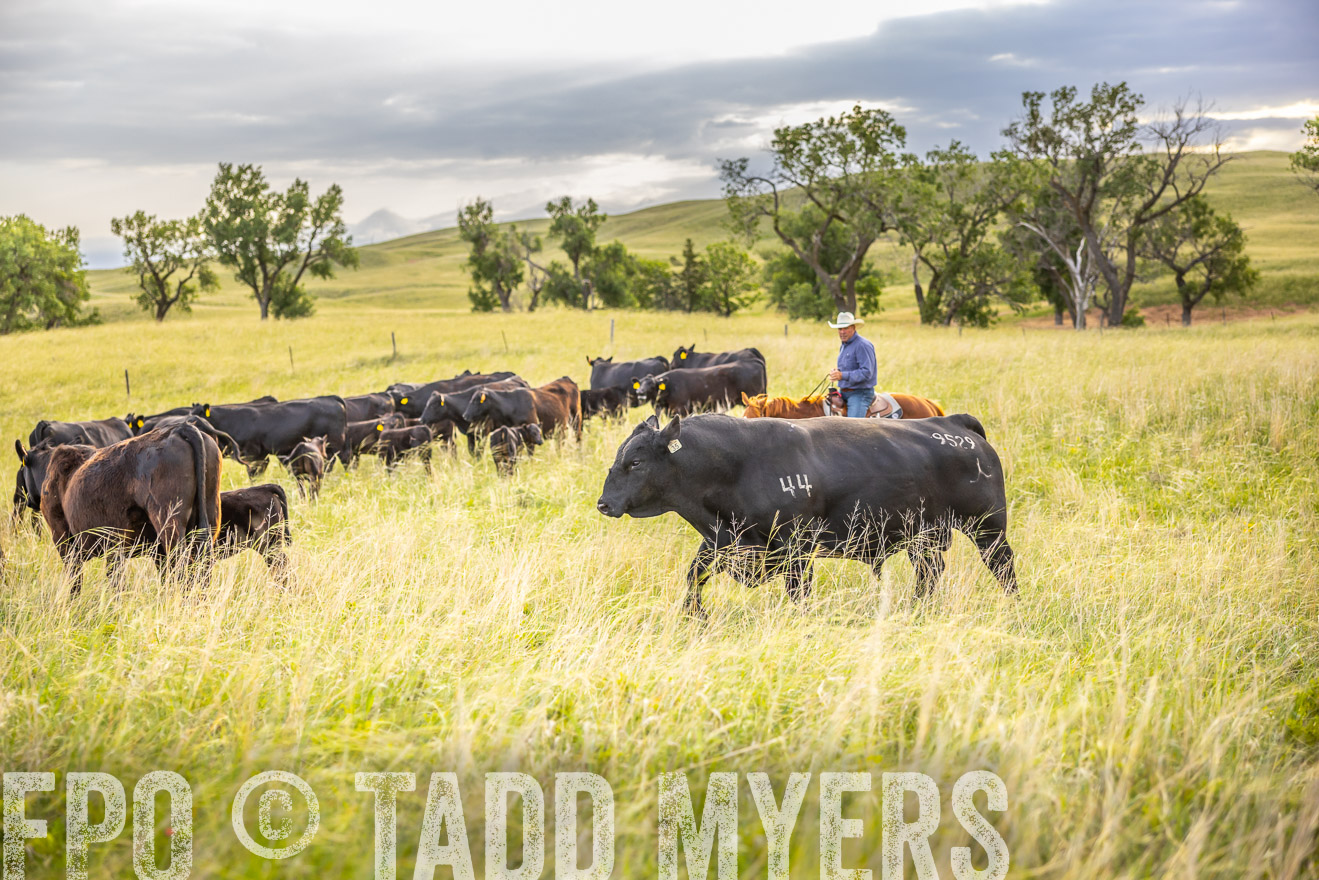 TMyers_PP_FinneyRanch_Nebraska_June2024-519889