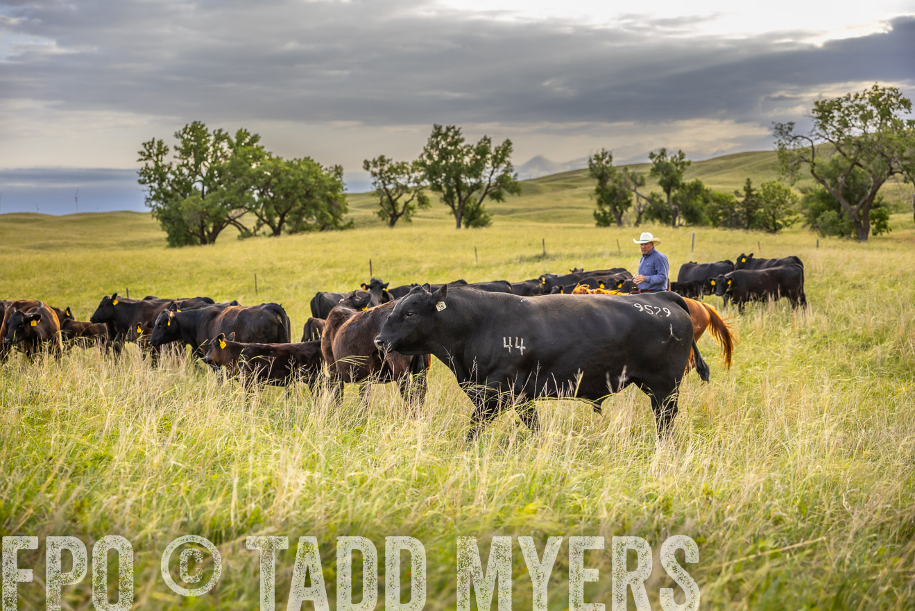 TMyers_PP_FinneyRanch_Nebraska_June2024-519898