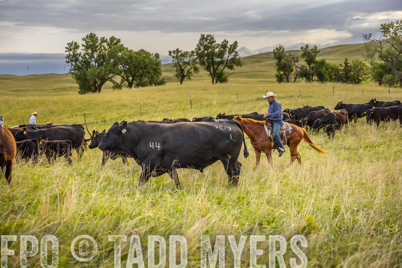 TMyers_PP_FinneyRanch_Nebraska_June2024-519907