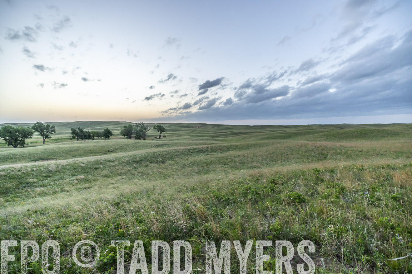 TMyers_PP_FinneyRanch_Nebraska_June2024-524606