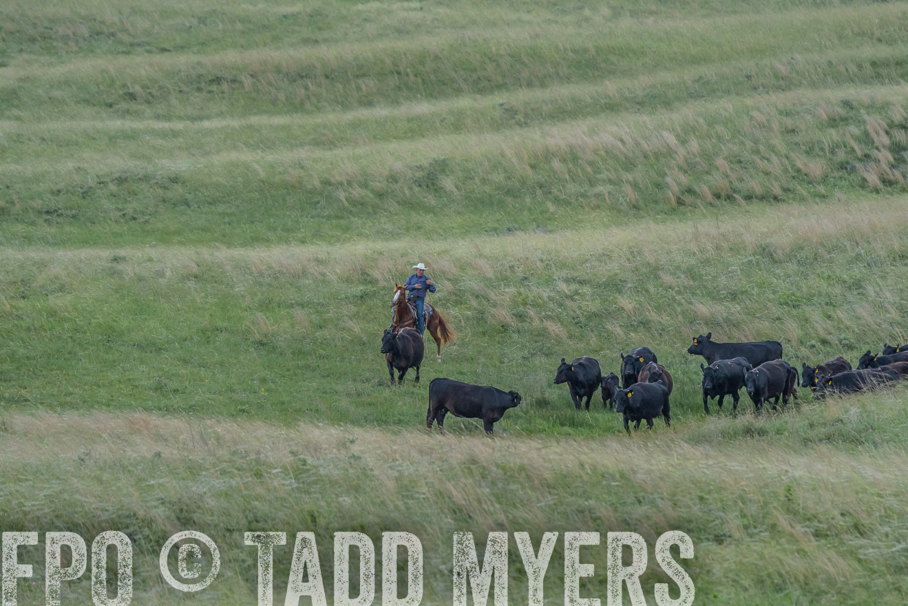 TMyers_PP_FinneyRanch_Nebraska_June2024-524614