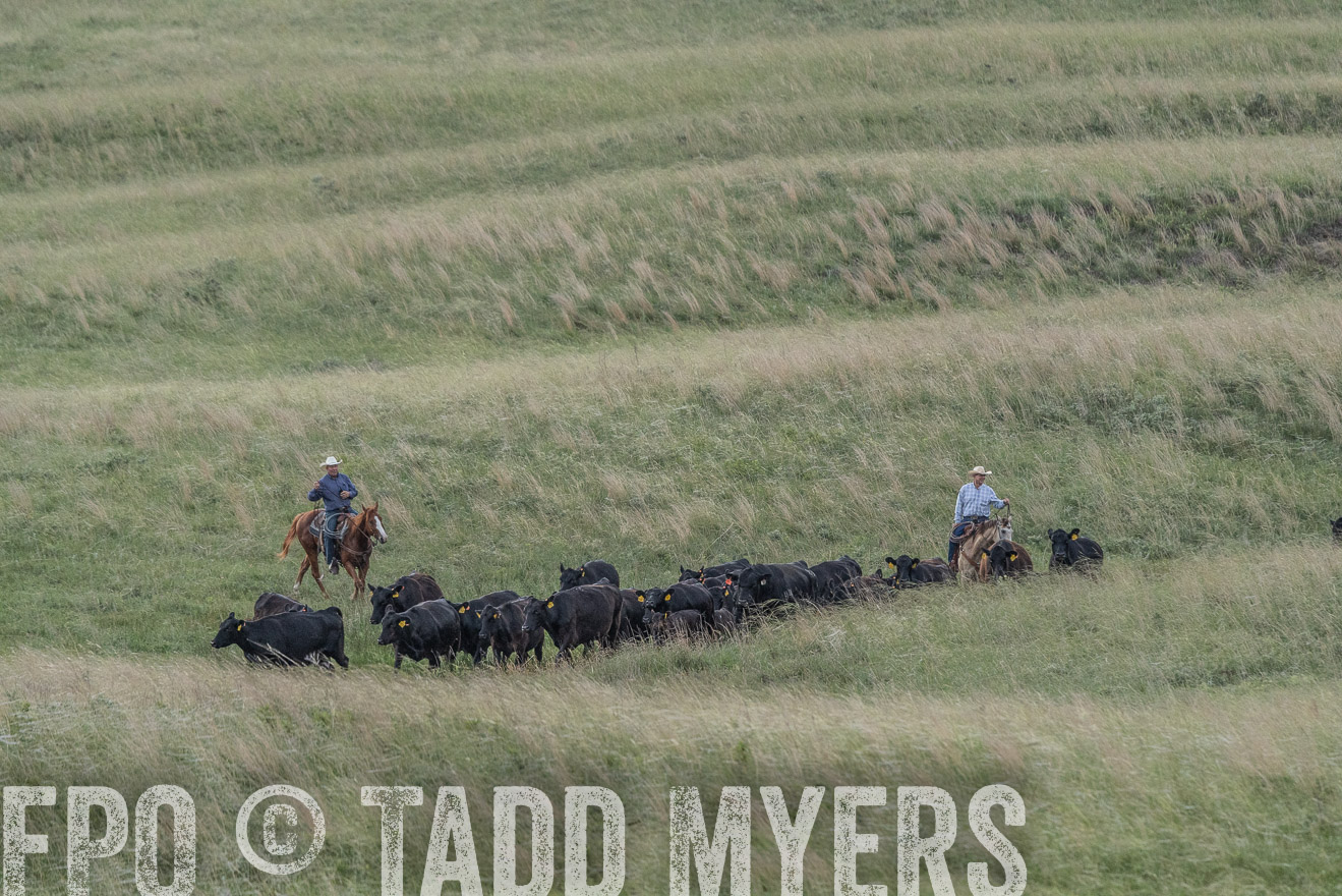 TMyers_PP_FinneyRanch_Nebraska_June2024-524617