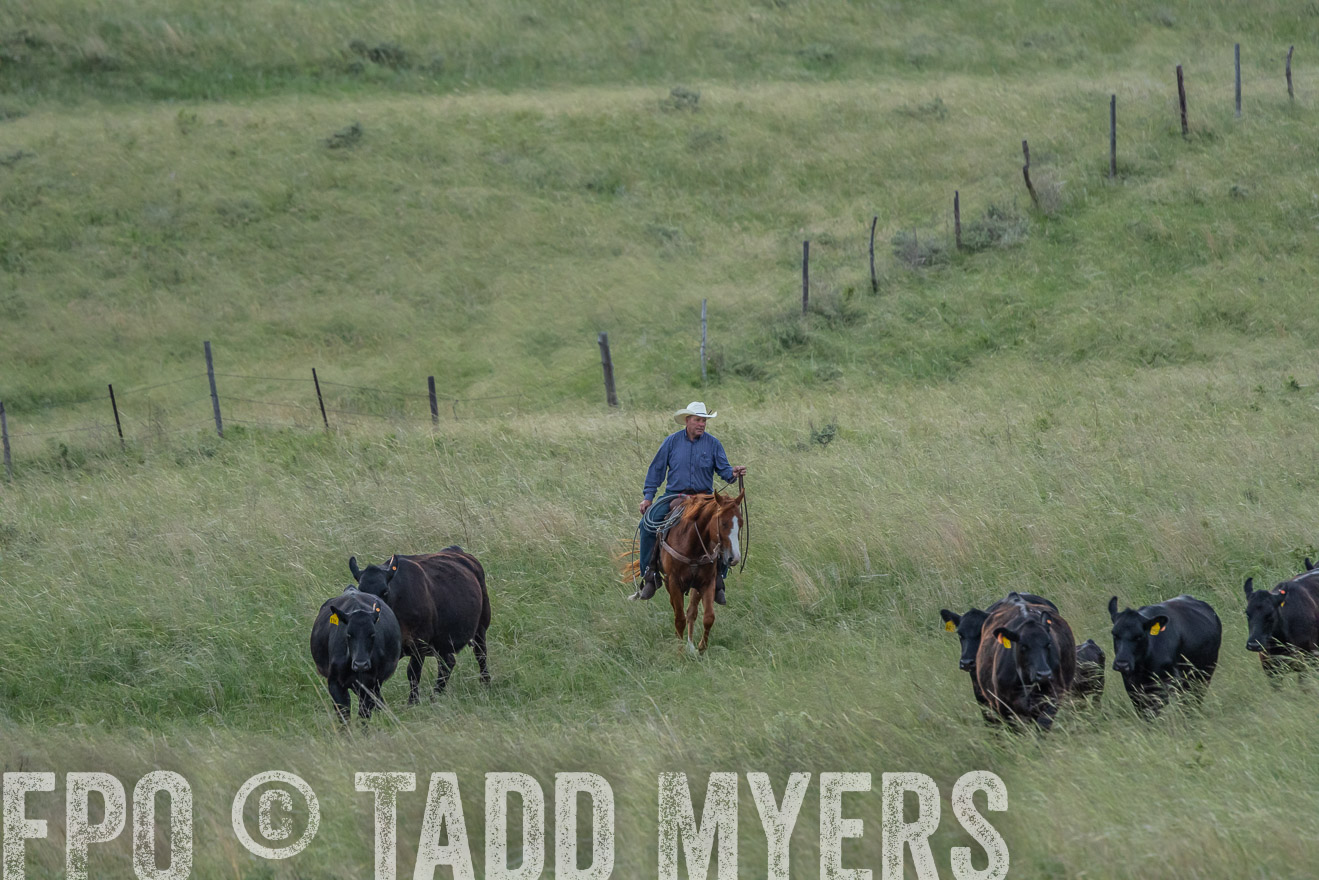 TMyers_PP_FinneyRanch_Nebraska_June2024-524634
