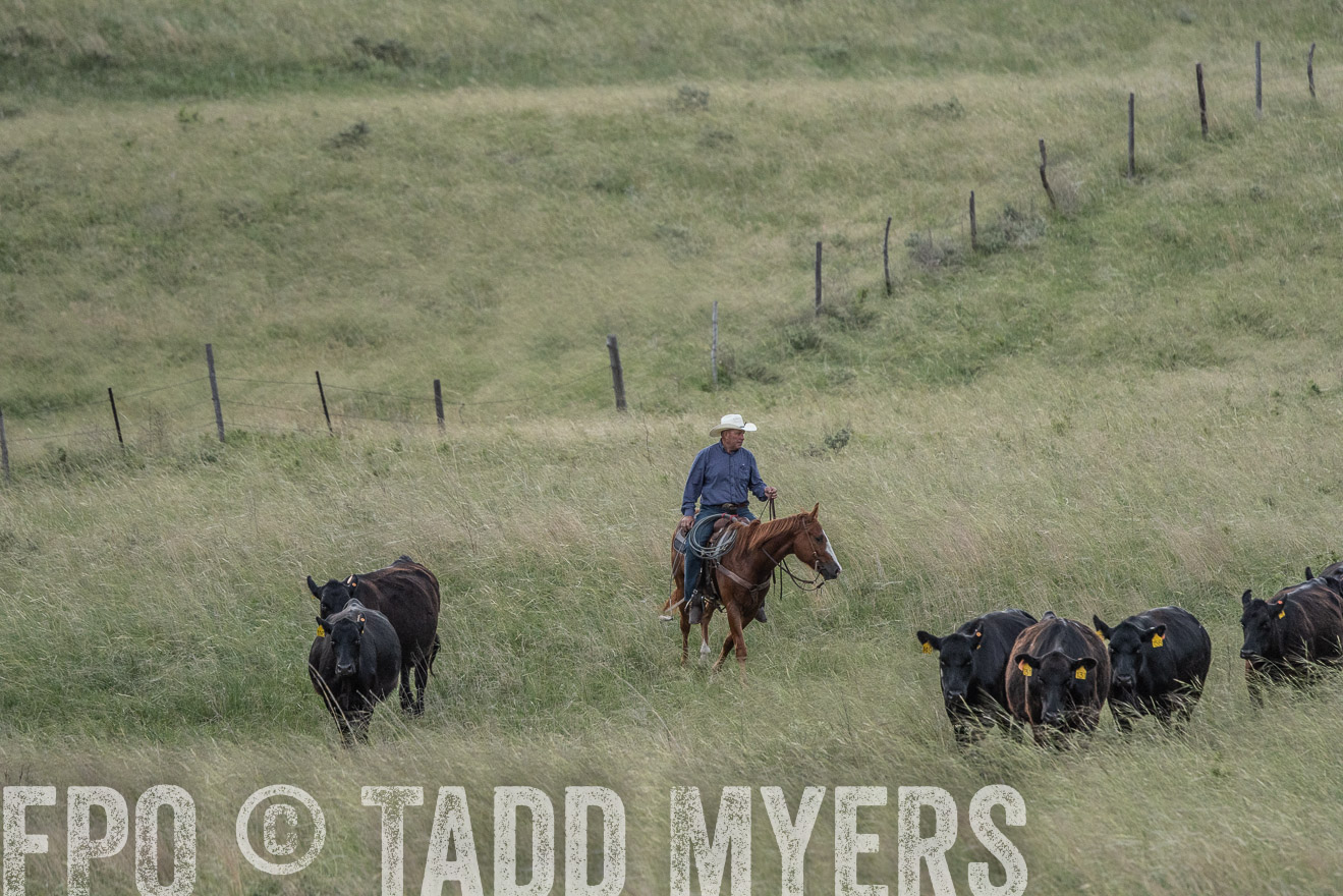TMyers_PP_FinneyRanch_Nebraska_June2024-524635