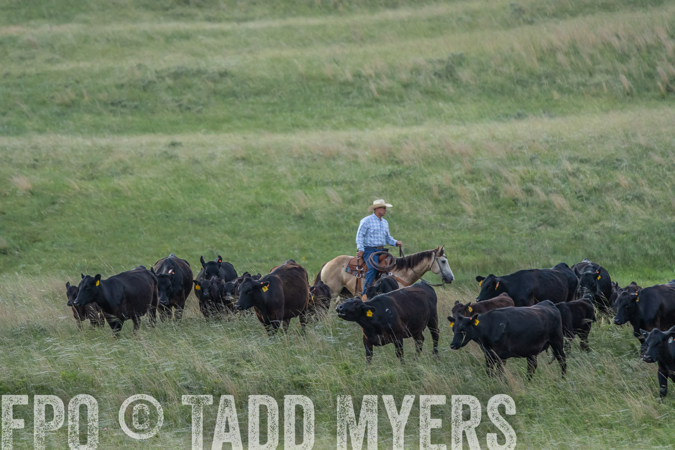 TMyers_PP_FinneyRanch_Nebraska_June2024-524641