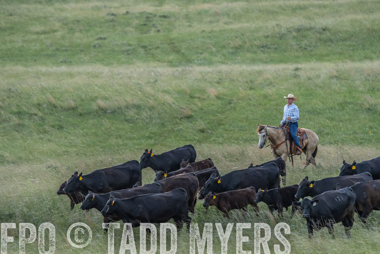 TMyers_PP_FinneyRanch_Nebraska_June2024-524649