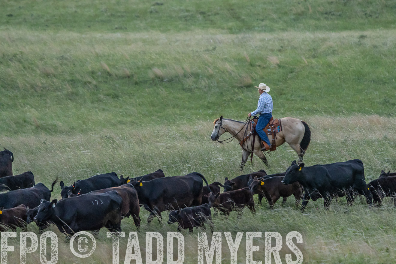 TMyers_PP_FinneyRanch_Nebraska_June2024-524652