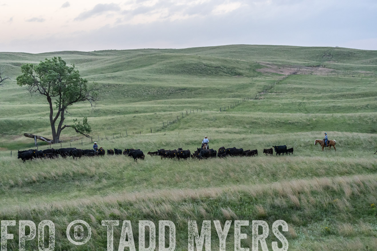 TMyers_PP_FinneyRanch_Nebraska_June2024-524656