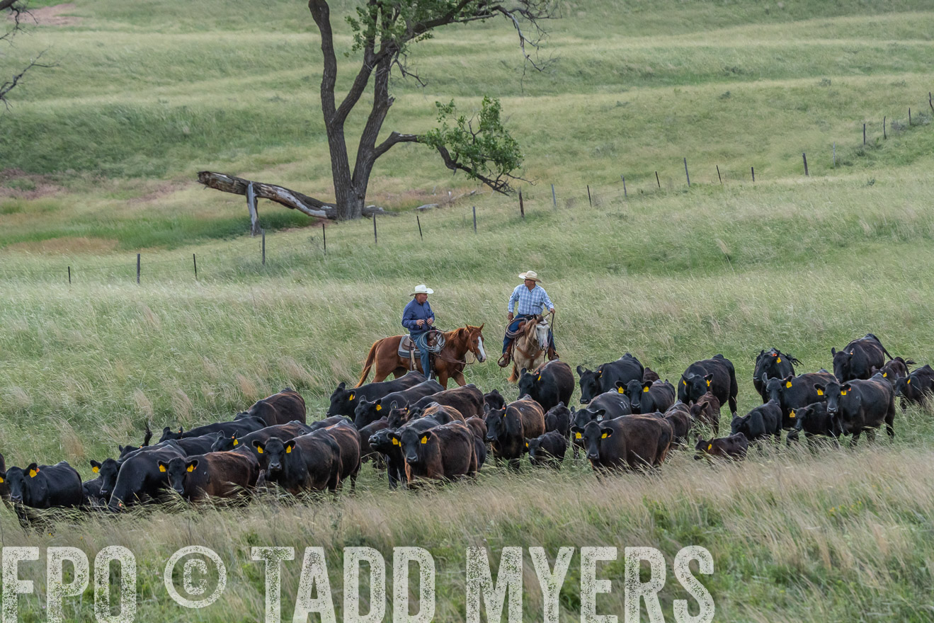 TMyers_PP_FinneyRanch_Nebraska_June2024-524694