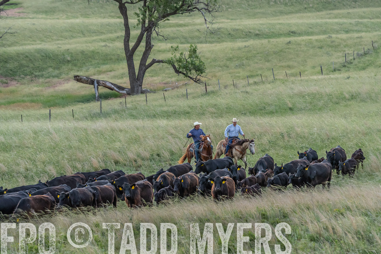 TMyers_PP_FinneyRanch_Nebraska_June2024-524700