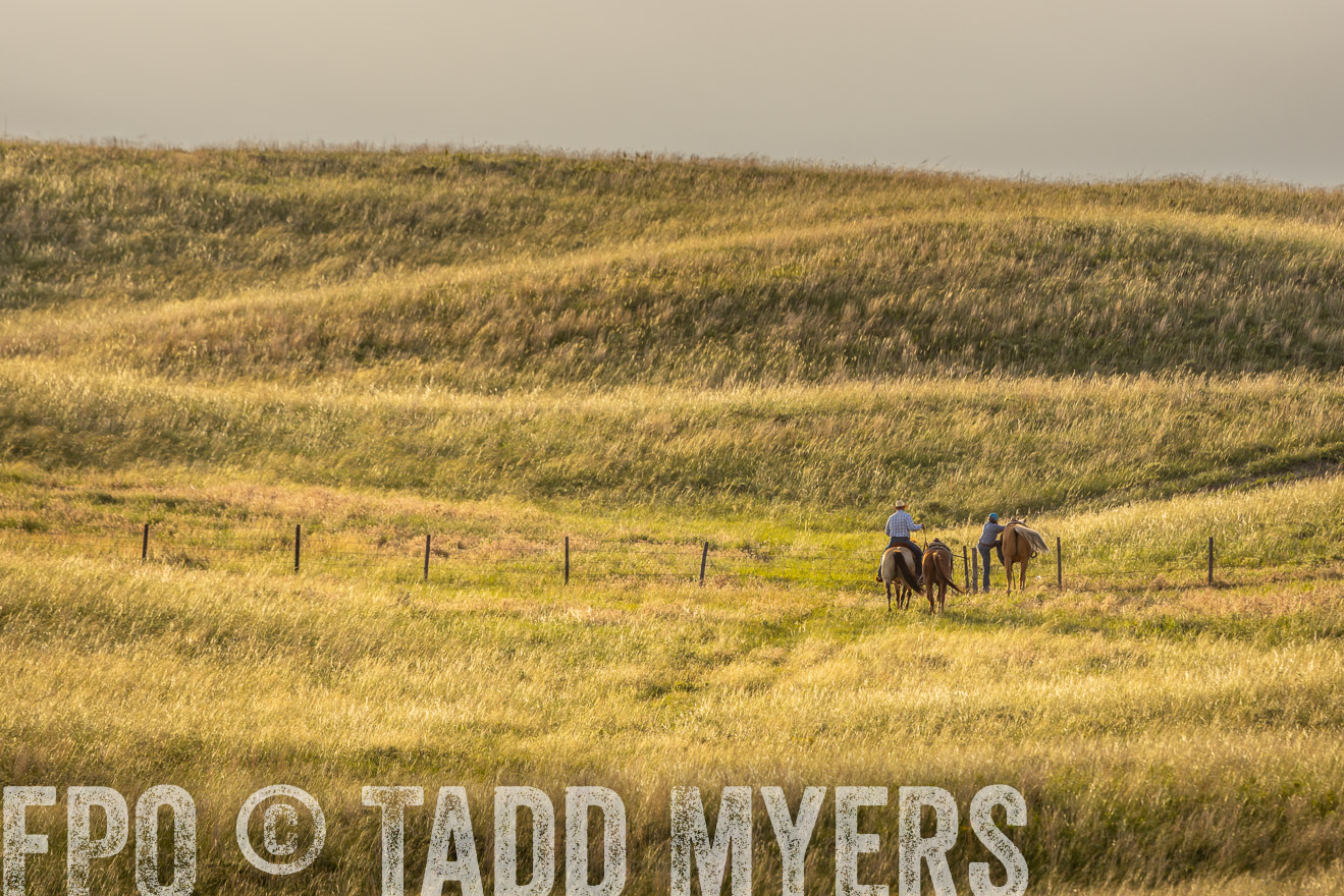 TMyers_PP_FinneyRanch_Nebraska_June2024-524748