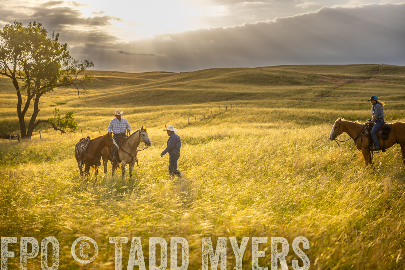 TMyers_PP_FinneyRanch_Nebraska_June2024-510215
