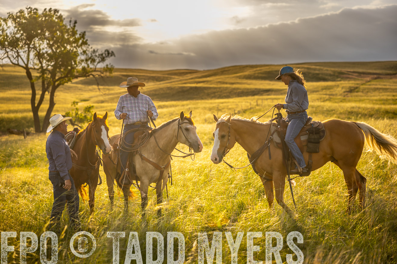 TMyers_PP_FinneyRanch_Nebraska_June2024-510239