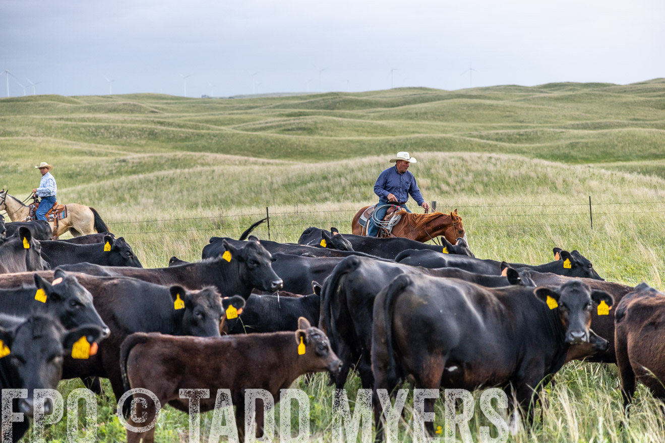 TMyers_PP_FinneyRanch_Nebraska_June2024-517239