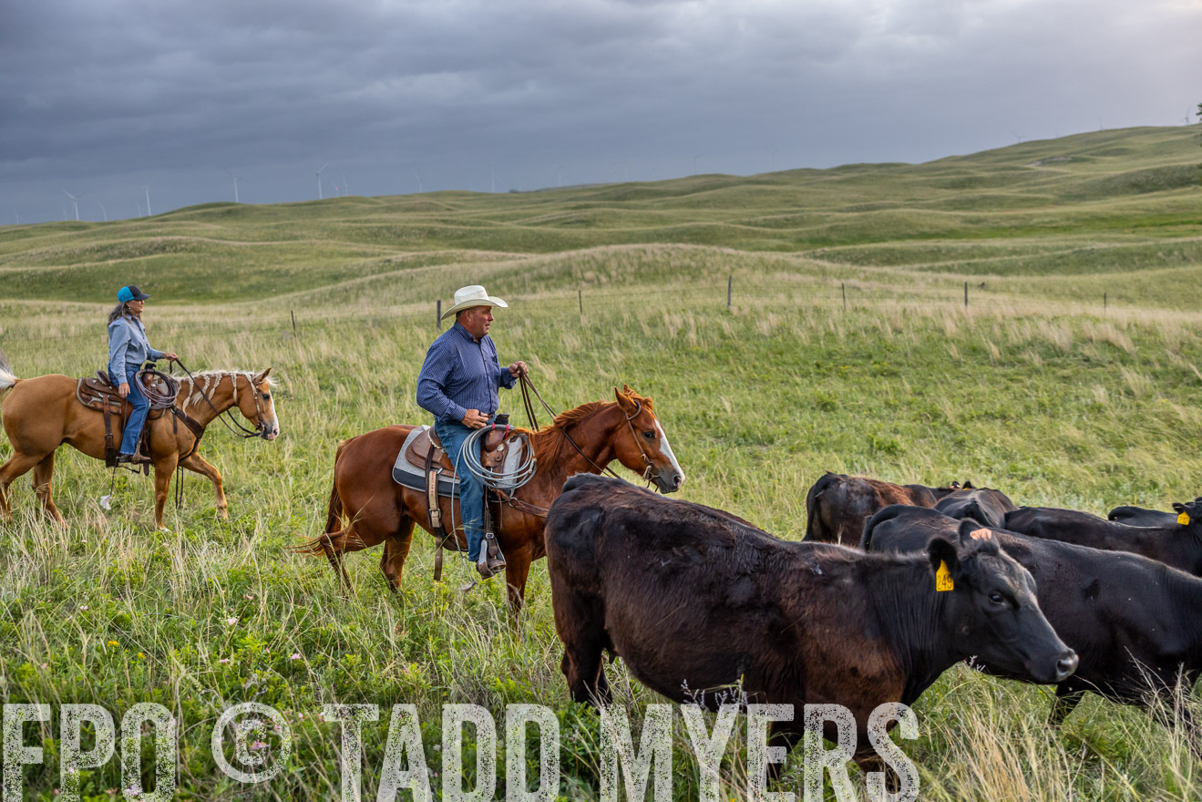 TMyers_PP_FinneyRanch_Nebraska_June2024-517346