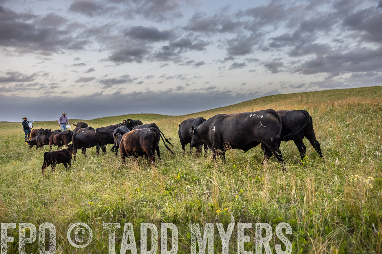 TMyers_PP_FinneyRanch_Nebraska_June2024-517642