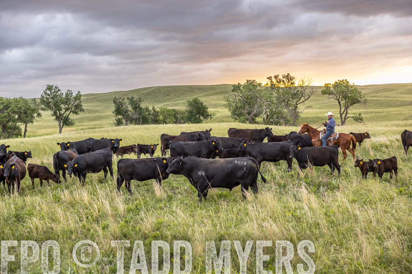 TMyers_PP_FinneyRanch_Nebraska_June2024-518388
