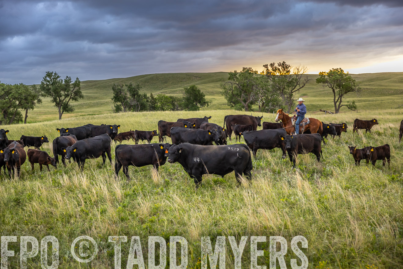 TMyers_PP_FinneyRanch_Nebraska_June2024-518397