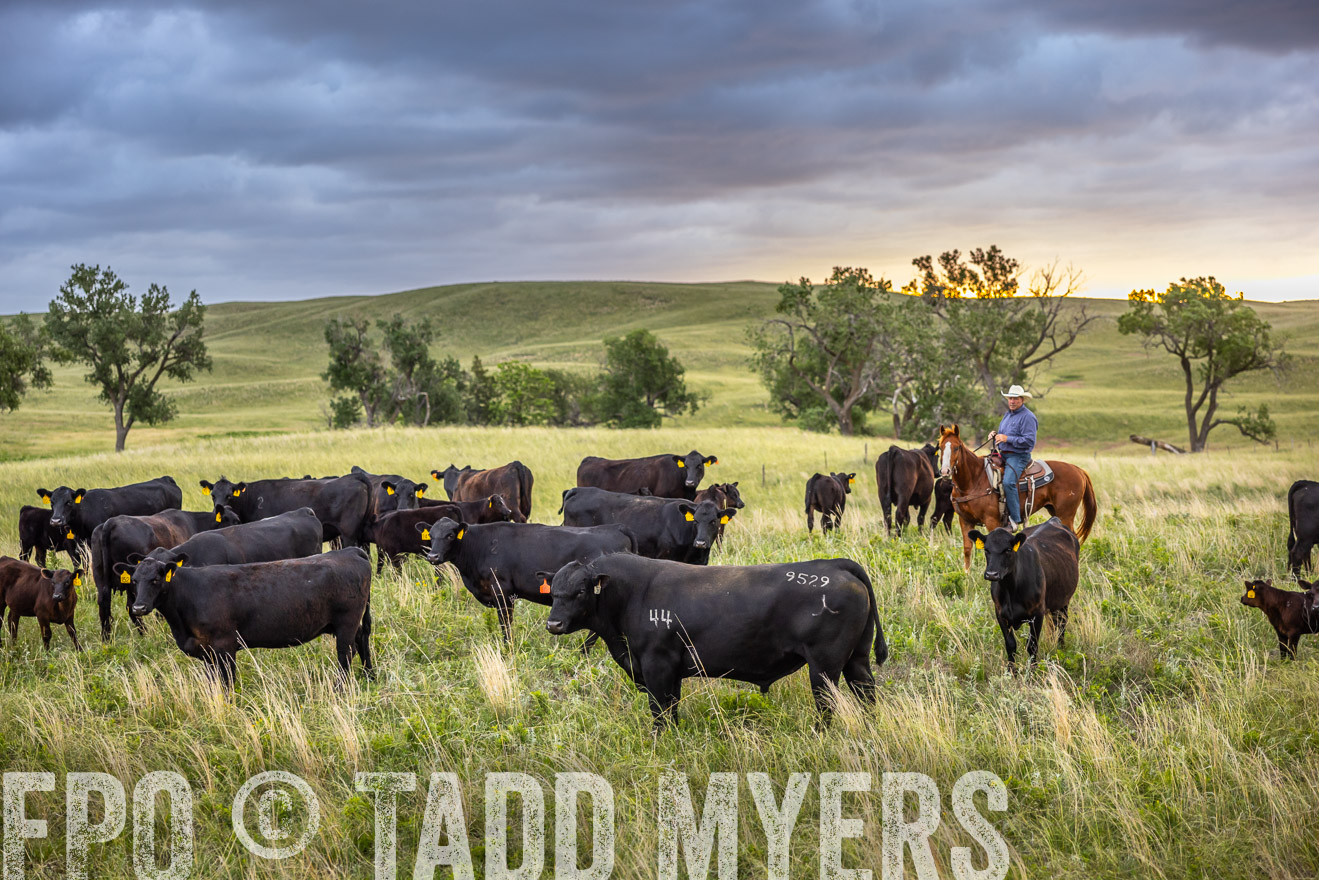 TMyers_PP_FinneyRanch_Nebraska_June2024-518404