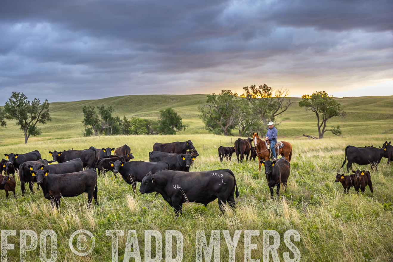TMyers_PP_FinneyRanch_Nebraska_June2024-518421
