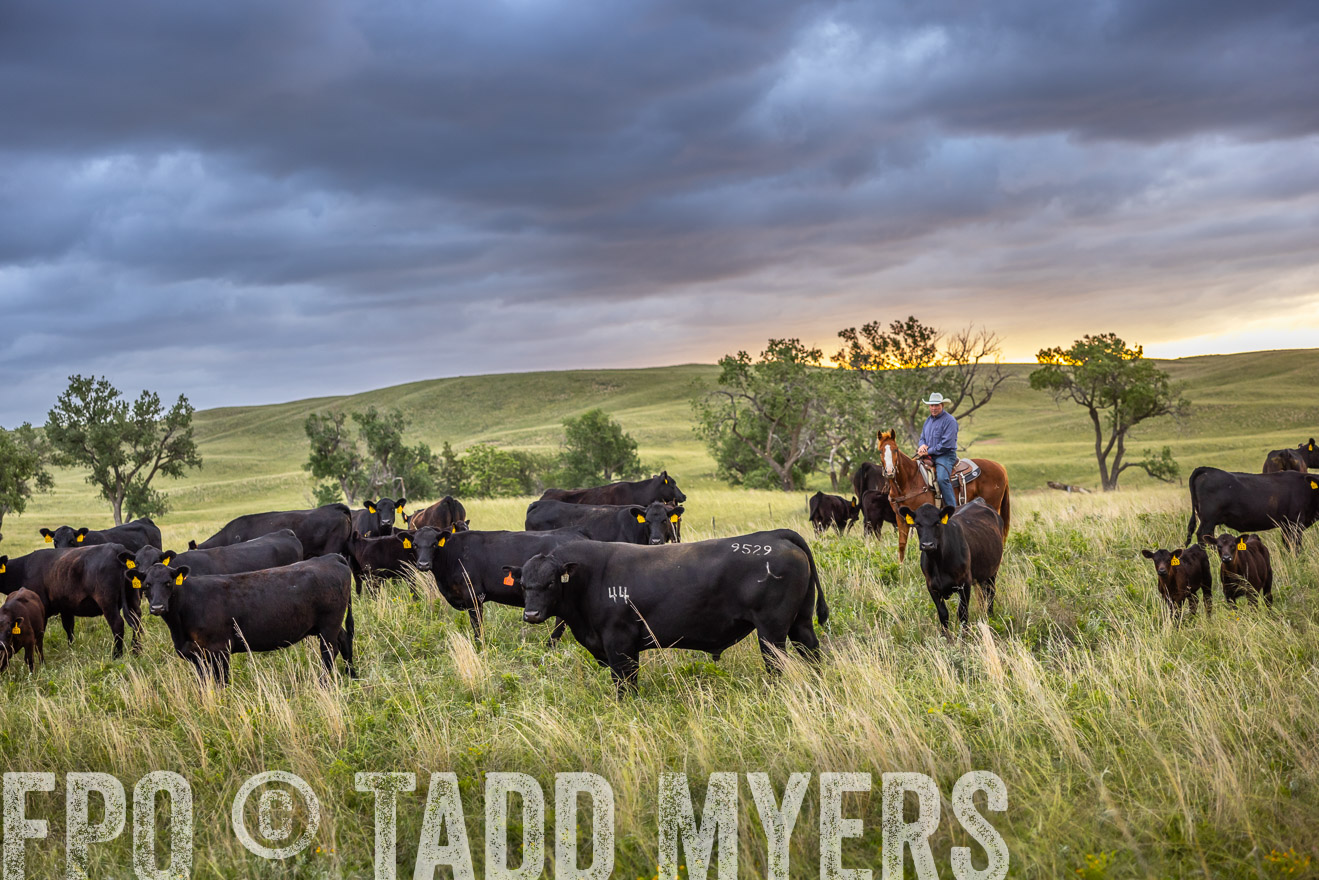 TMyers_PP_FinneyRanch_Nebraska_June2024-518433
