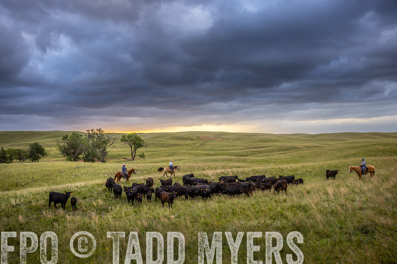 TMyers_PP_FinneyRanch_Nebraska_June2024-518618