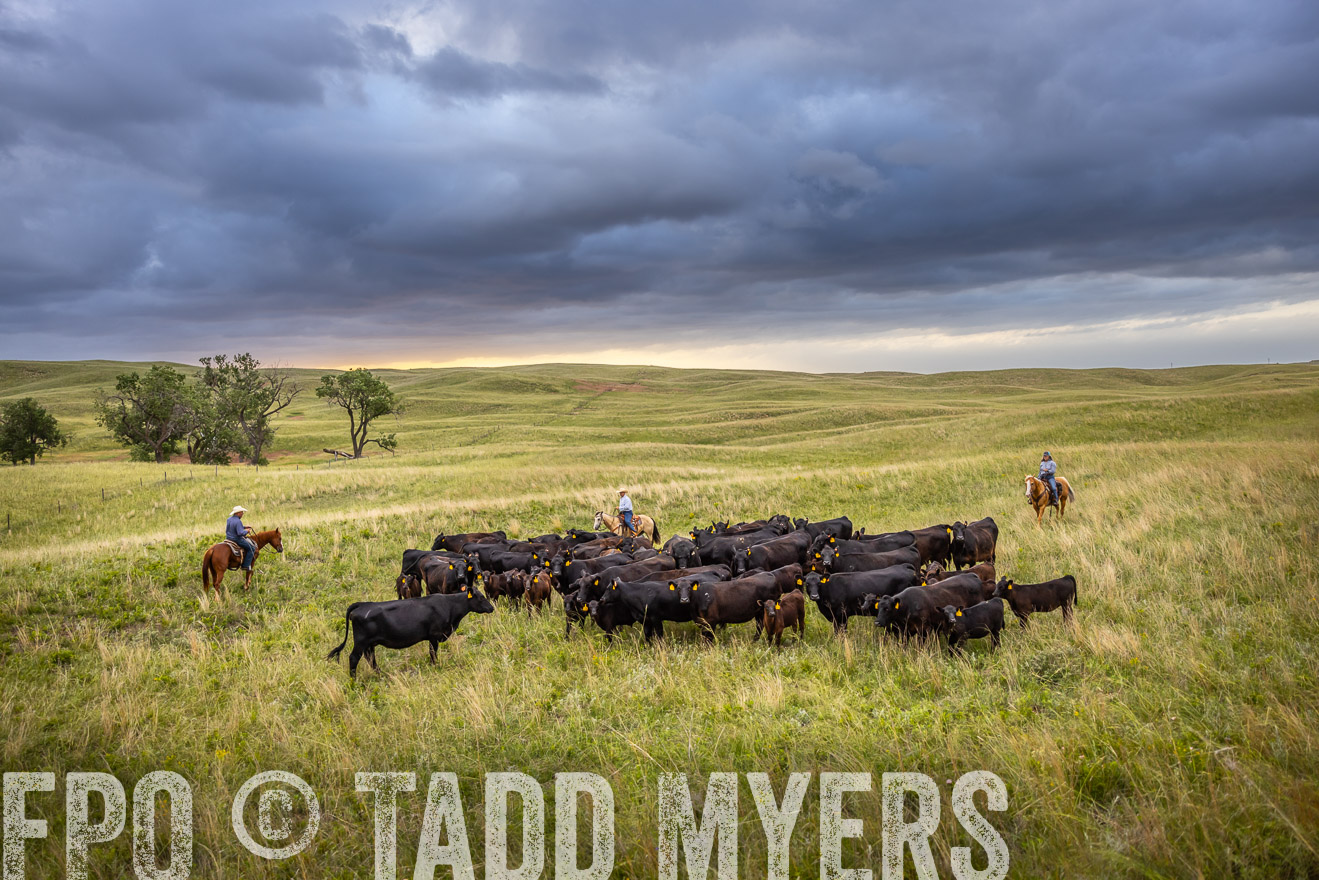 TMyers_PP_FinneyRanch_Nebraska_June2024-518772