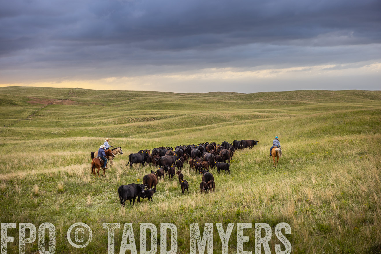 TMyers_PP_FinneyRanch_Nebraska_June2024-518797