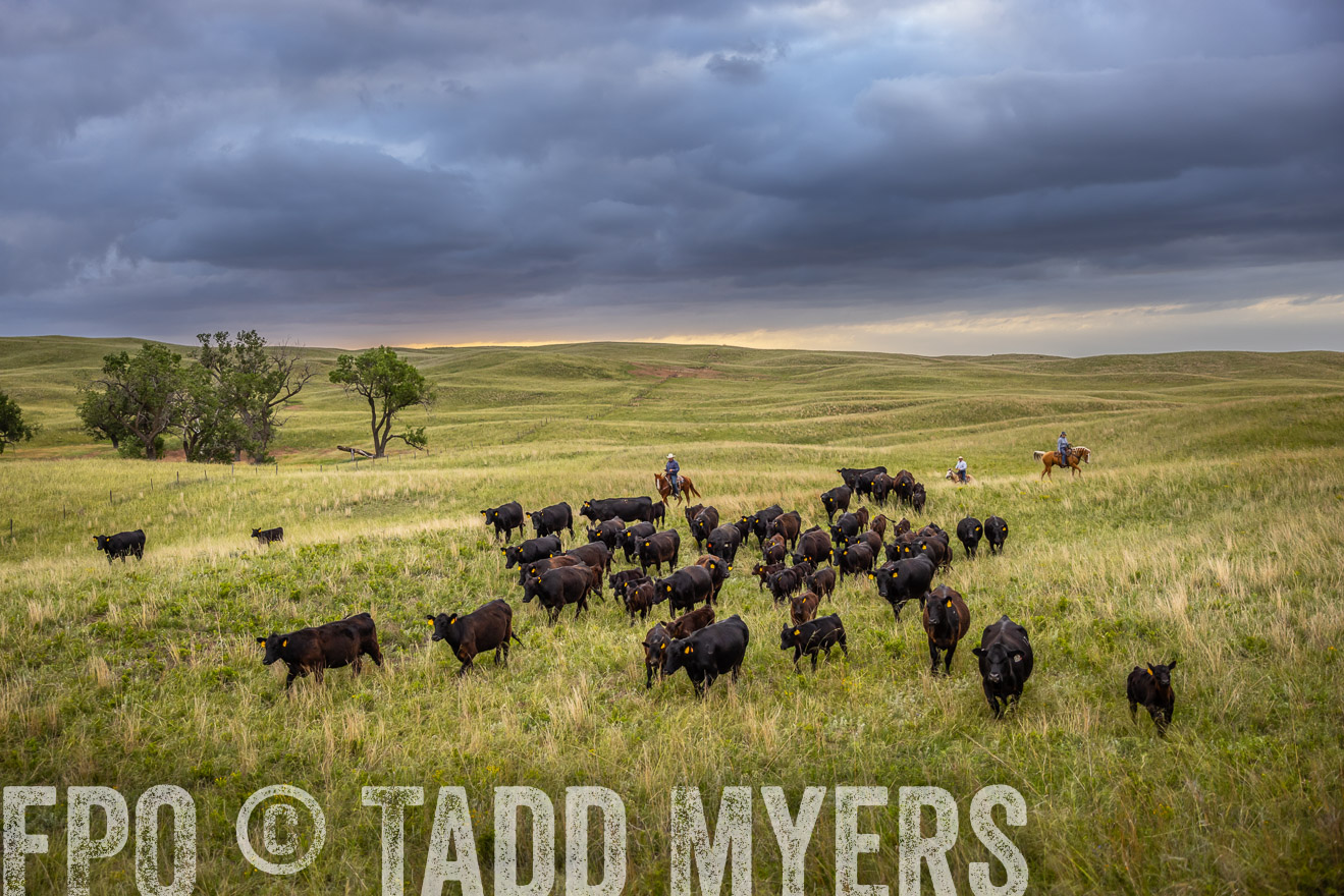 TMyers_PP_FinneyRanch_Nebraska_June2024-518851