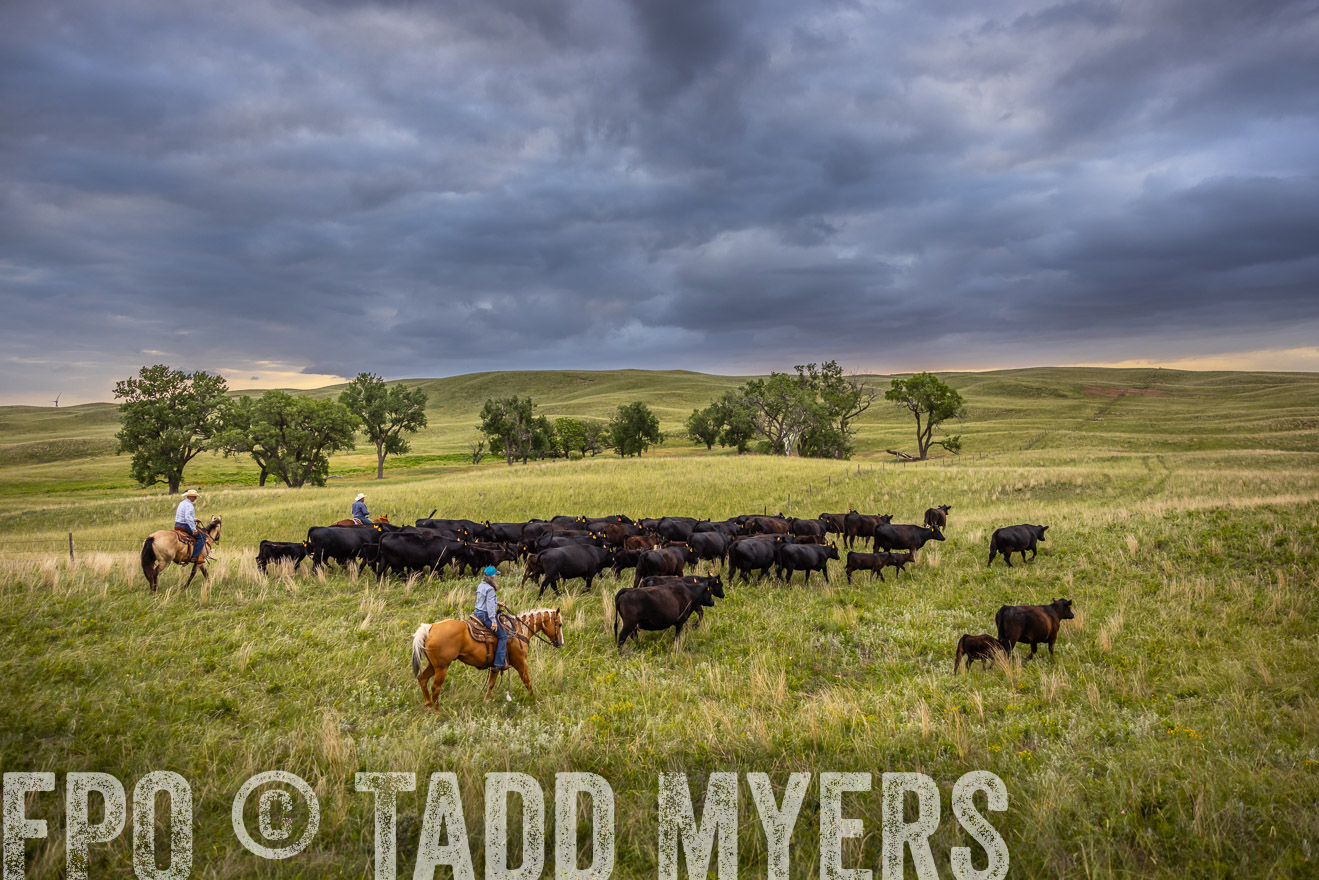 TMyers_PP_FinneyRanch_Nebraska_June2024-519069