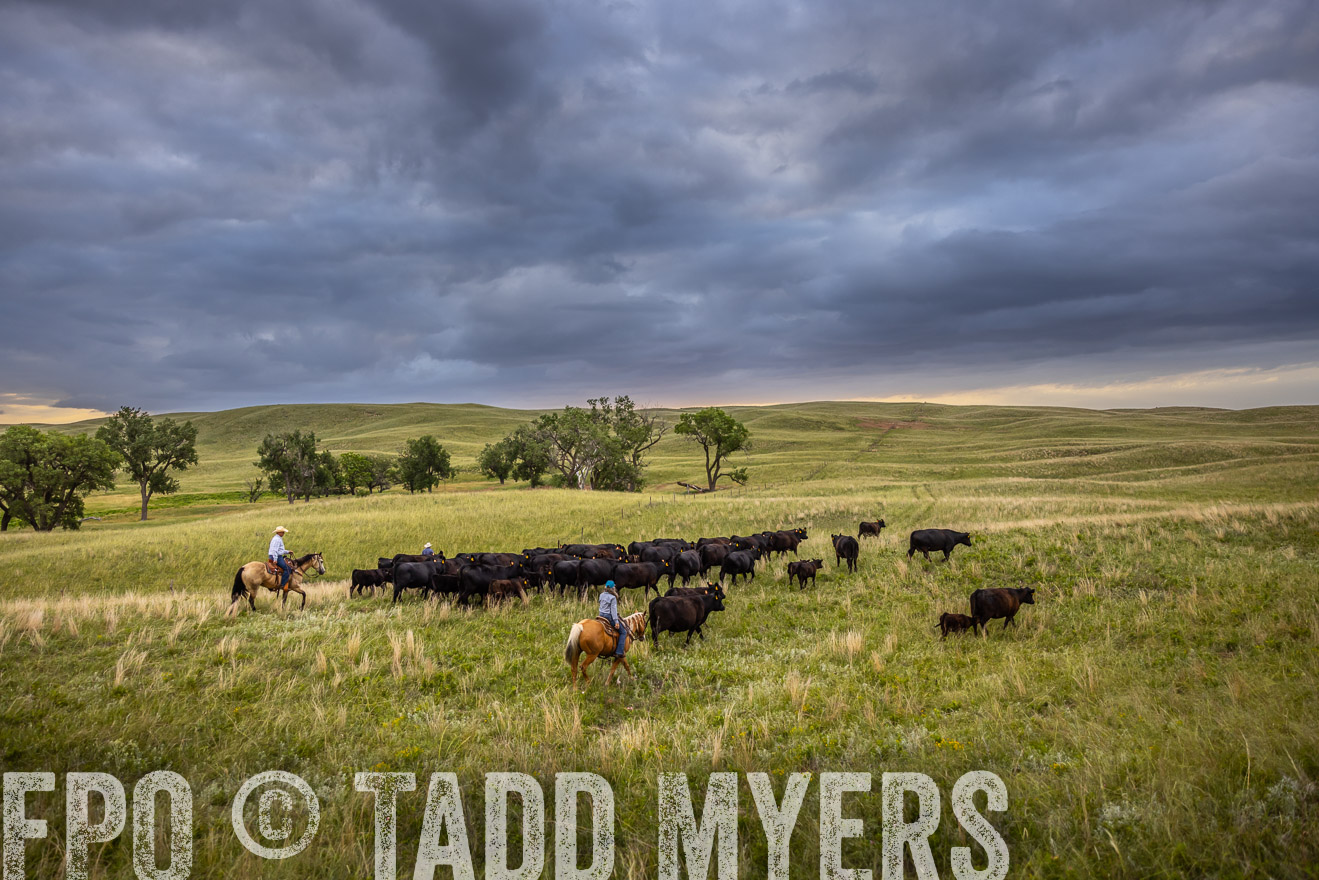 TMyers_PP_FinneyRanch_Nebraska_June2024-519110