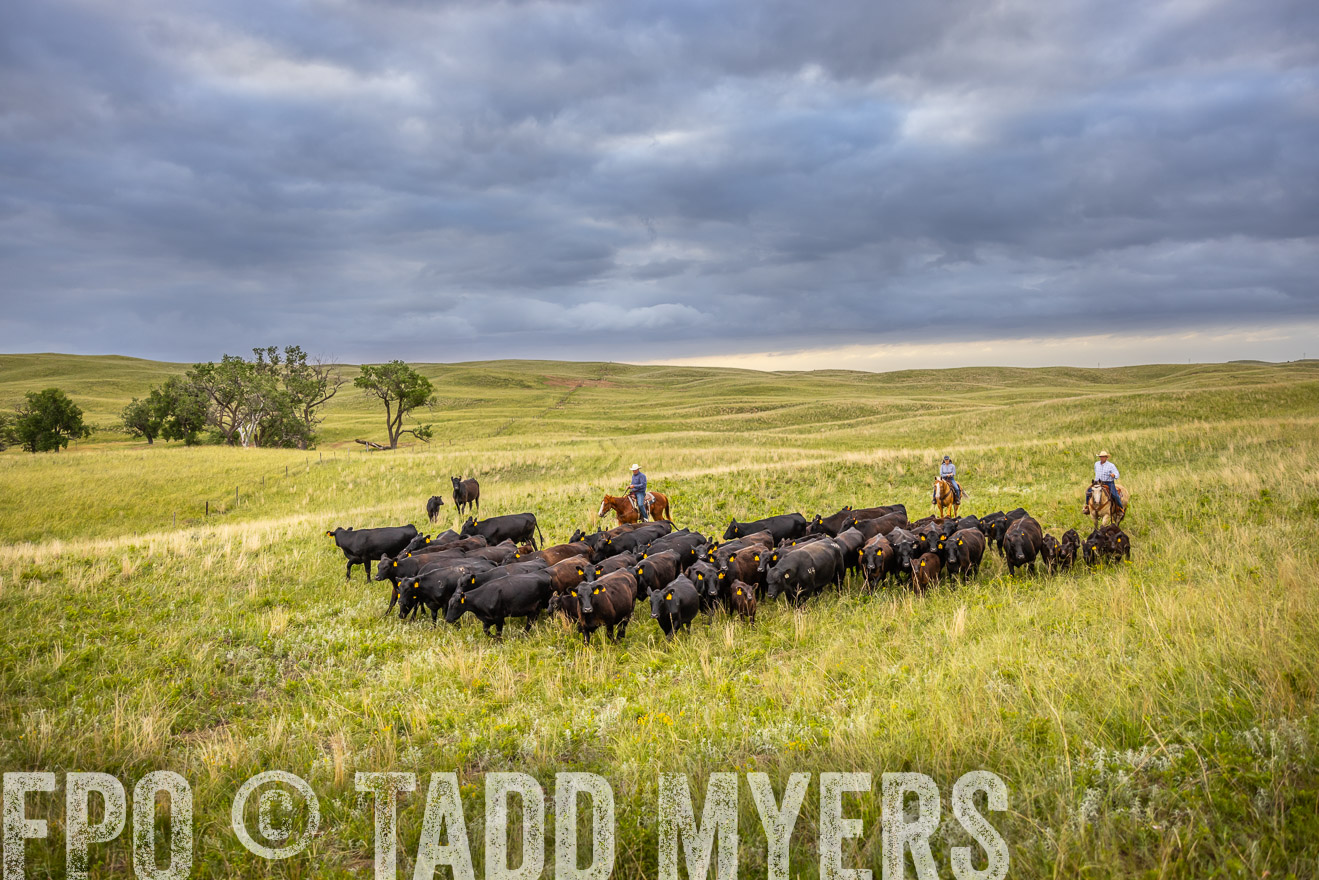TMyers_PP_FinneyRanch_Nebraska_June2024-519494