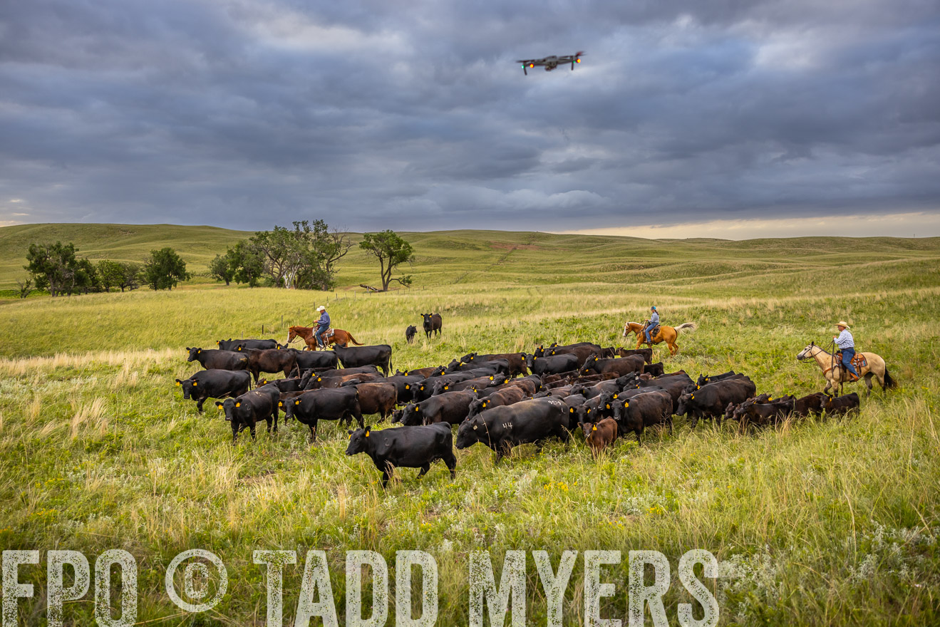 TMyers_PP_FinneyRanch_Nebraska_June2024-519502