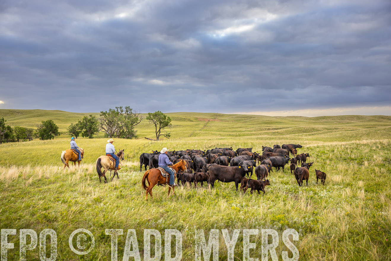 TMyers_PP_FinneyRanch_Nebraska_June2024-519596