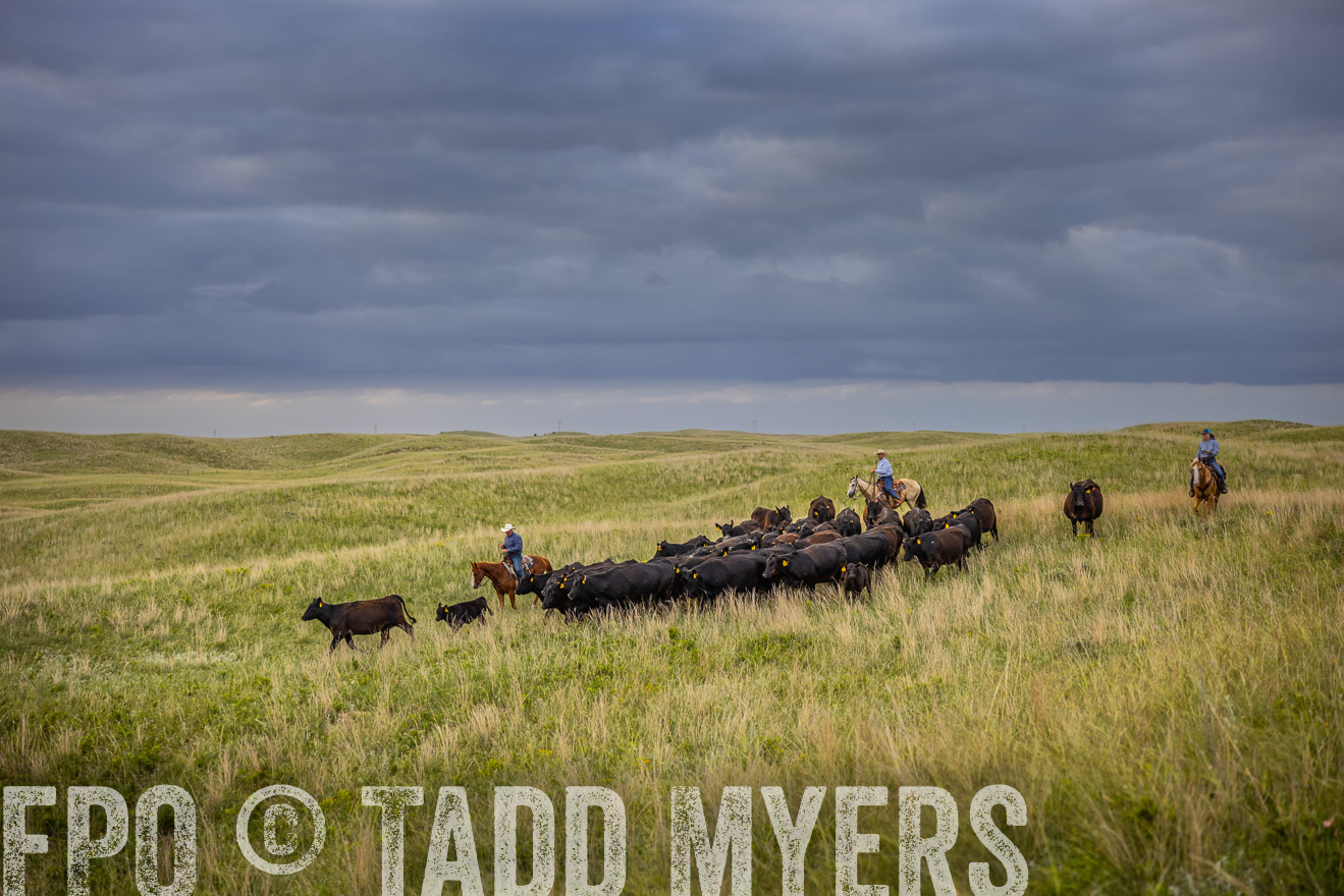 TMyers_PP_FinneyRanch_Nebraska_June2024-519631