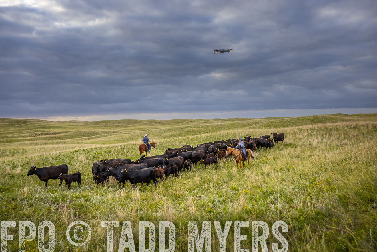 TMyers_PP_FinneyRanch_Nebraska_June2024-519668