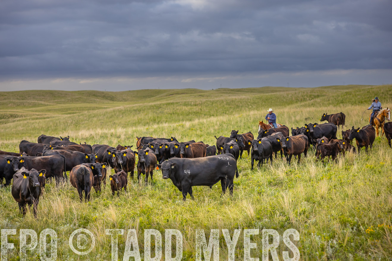 TMyers_PP_FinneyRanch_Nebraska_June2024-519699