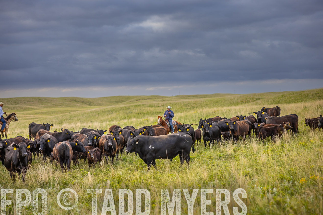 TMyers_PP_FinneyRanch_Nebraska_June2024-519705