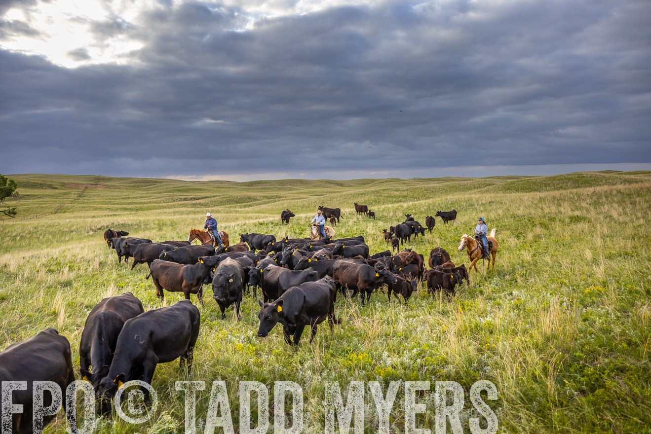 TMyers_PP_FinneyRanch_Nebraska_June2024-519797
