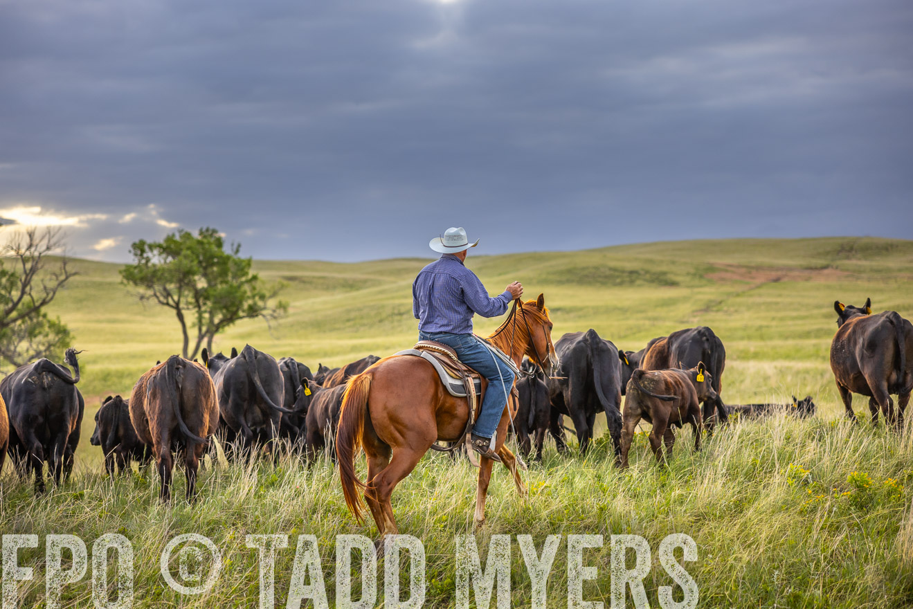 TMyers_PP_FinneyRanch_Nebraska_June2024-519850