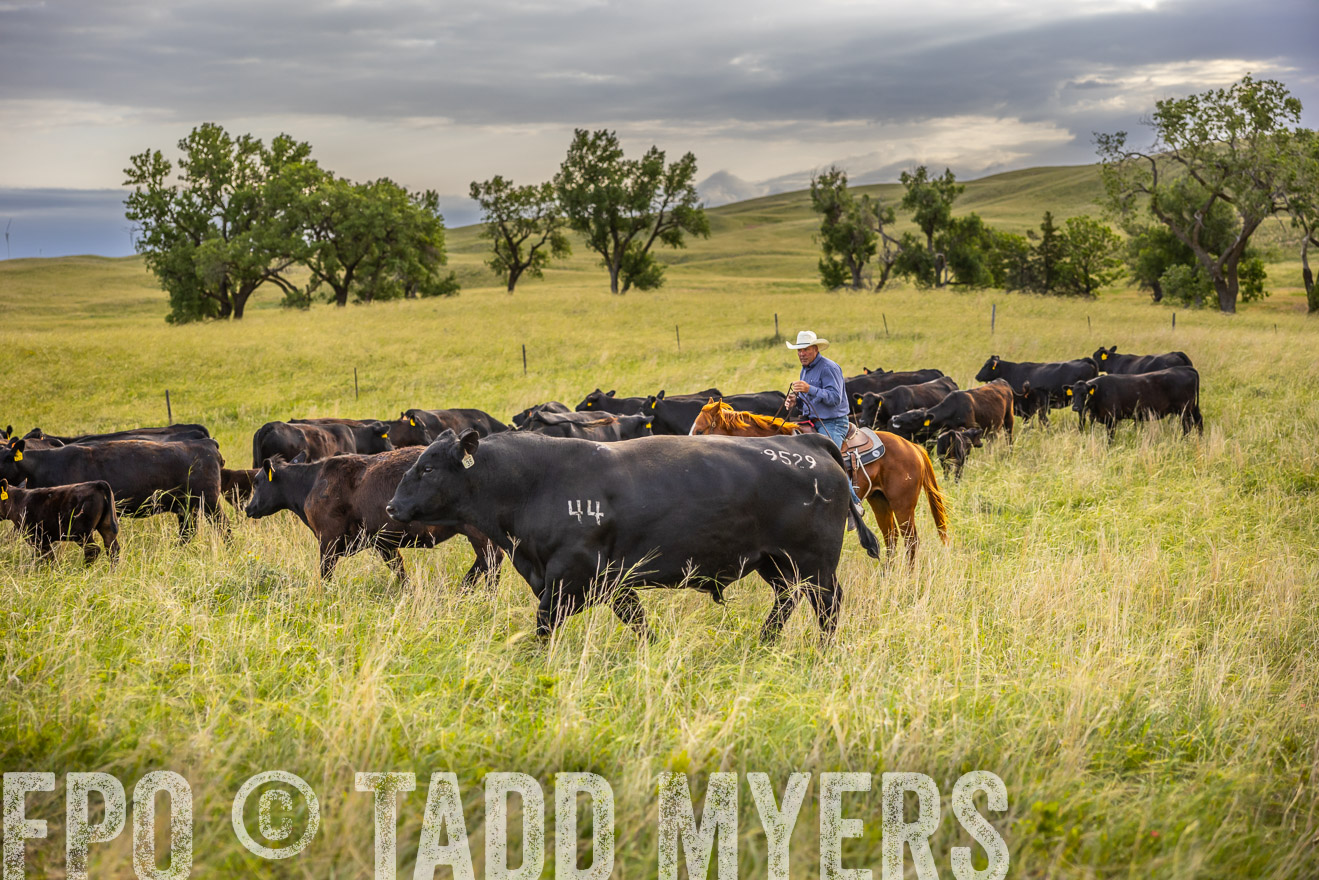 TMyers_PP_FinneyRanch_Nebraska_June2024-519904