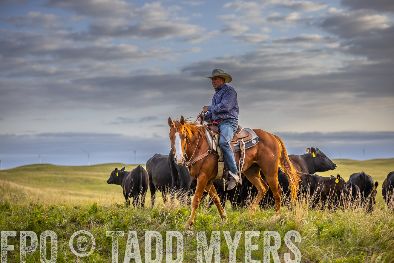 TMyers_PP_FinneyRanch_Nebraska_June2024-519911