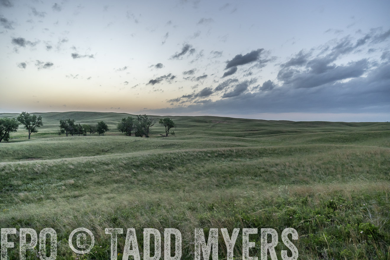 TMyers_PP_FinneyRanch_Nebraska_June2024-524596