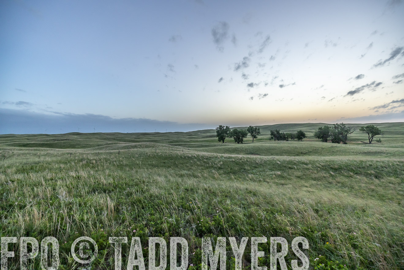 TMyers_PP_FinneyRanch_Nebraska_June2024-524603