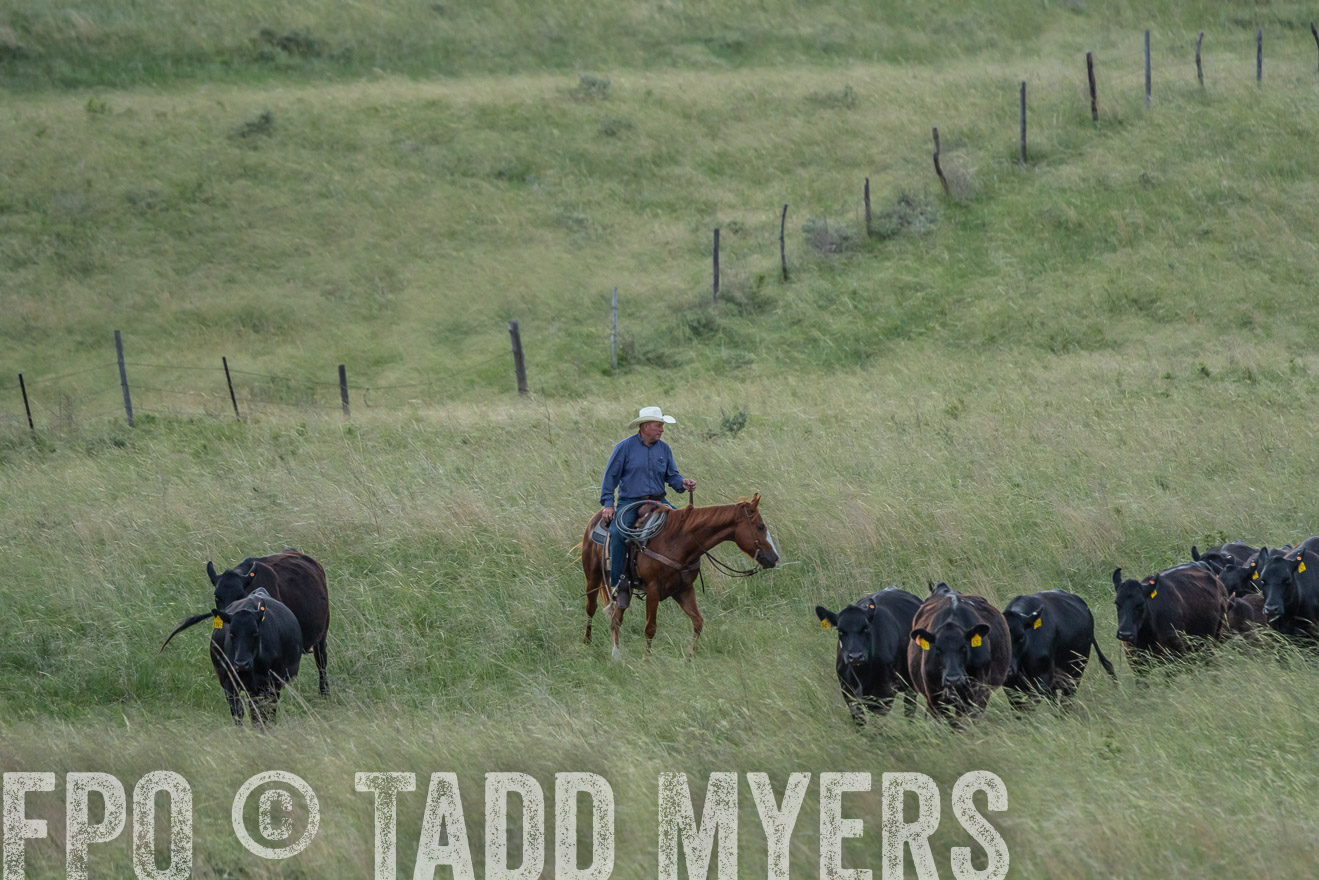 TMyers_PP_FinneyRanch_Nebraska_June2024-524636